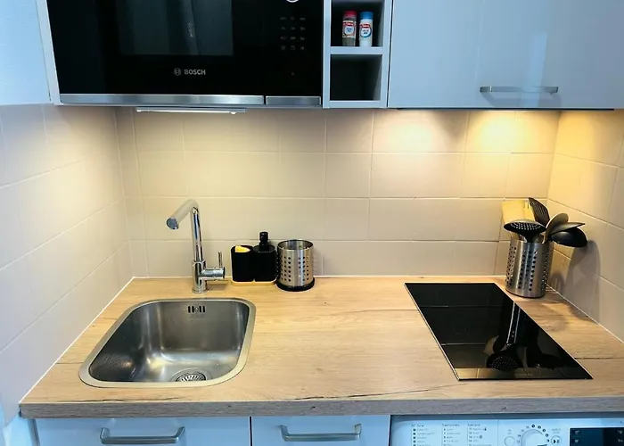 Apartment Le Rev'aix Balcon Et Parking Aix-les-Bains